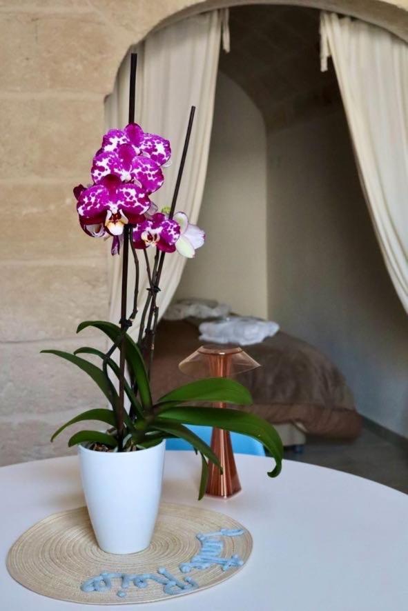 Apartament Panta Rei Wellness & Charme Monopoli Zewnętrze zdjęcie