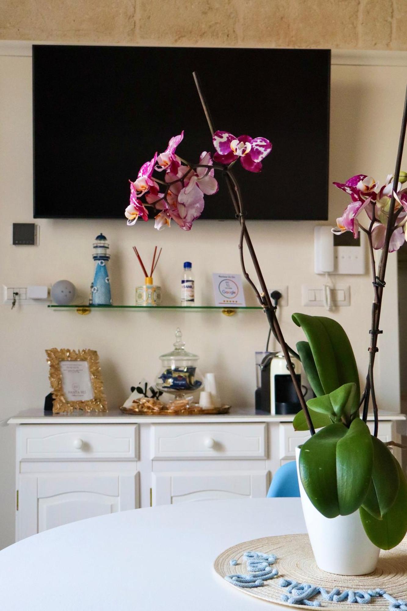 Apartament Panta Rei Wellness & Charme Monopoli Zewnętrze zdjęcie